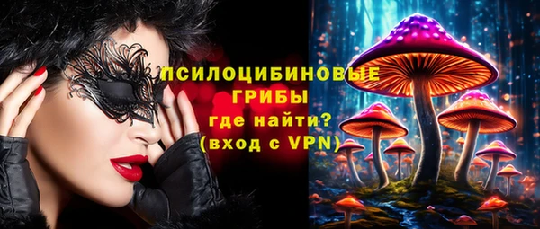 круглые Алзамай